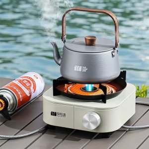 Outdoor gas stove